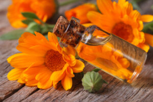 calendula huile