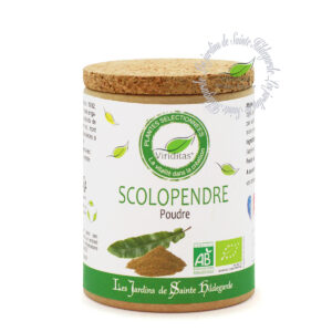 scolopendre bio moulue, pot de 40g, recommandé par sainte Hildegarde de Bingen